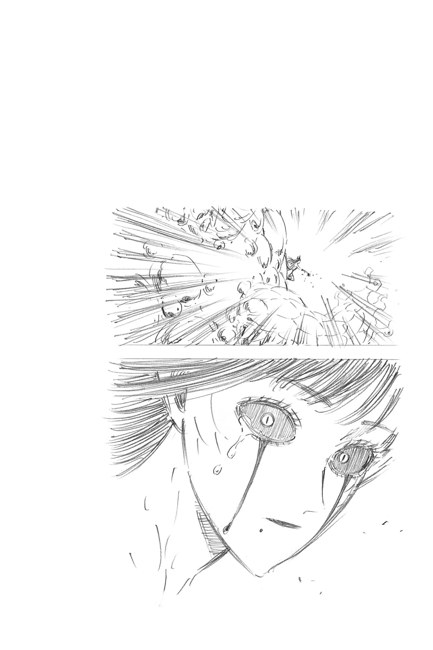 27096130 1500 2250 109328